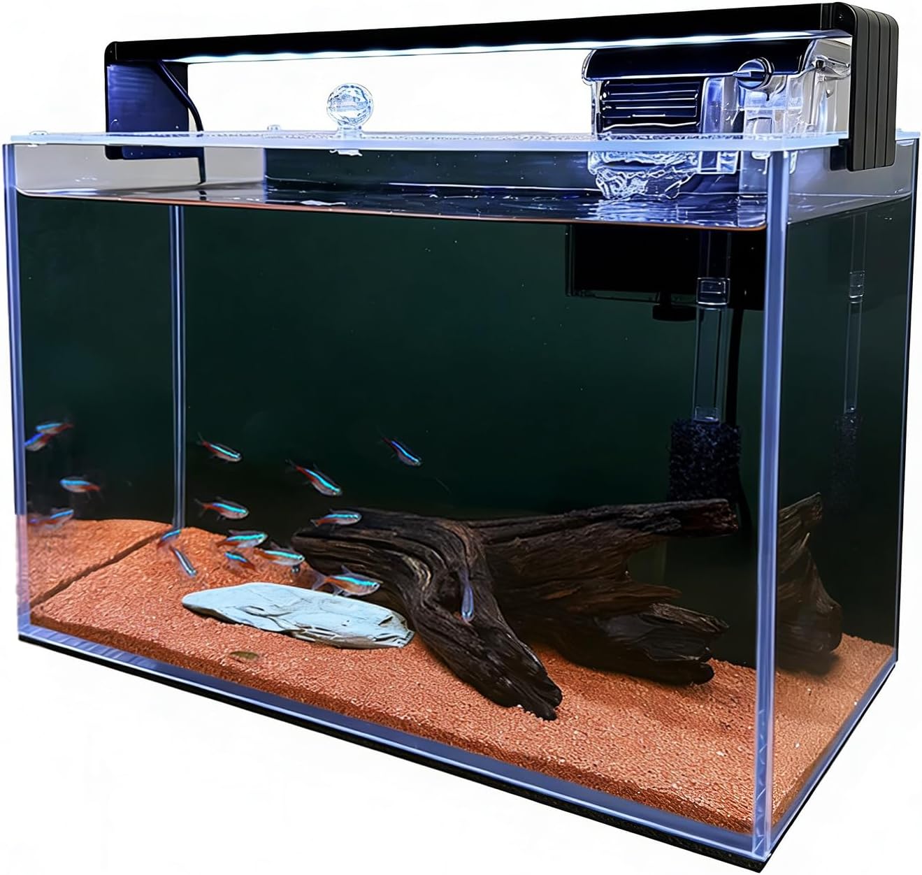 Betta Fish Tank - 3,2 gallon Nano Nature aquariumstartset, klein,