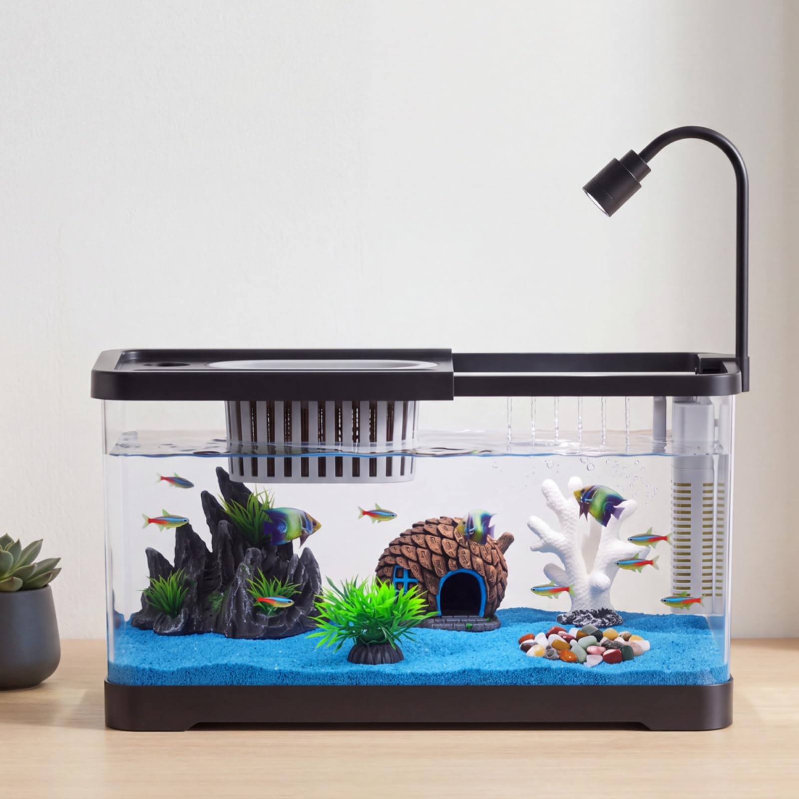 Aquarium Fish Betta - Viskom Starterset met filter en licht,