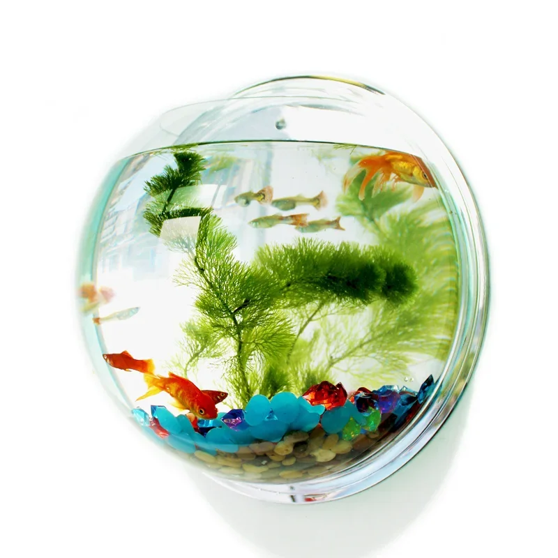Aquarium Fish Betta - Pinsjar Acryl Visbak Wandhangend Aquarium, Aquatische