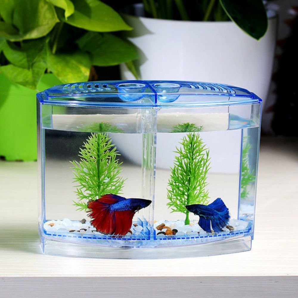 Aquarium Fish Betta - Transparant Betta-Aquarium, Dubbel Rooster Ruit Guppy-Aquarium,