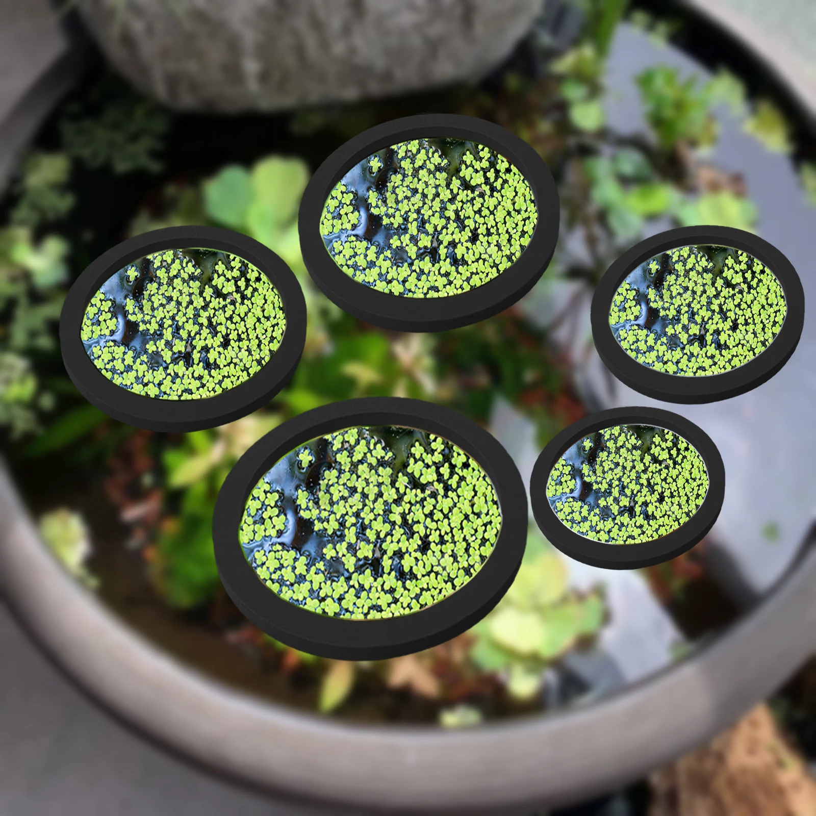 Aquarium Fish Tank - 5 stks EVA Vis Voeden Ring