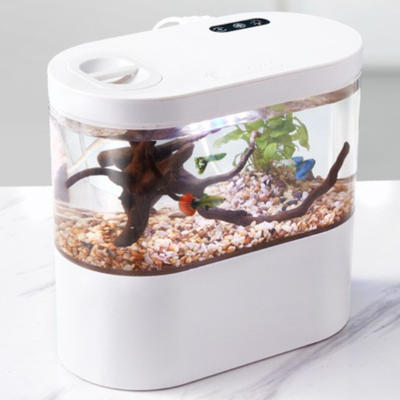 Aquarium Fish Betta - Creatief mini-aquarium voor op het bureau