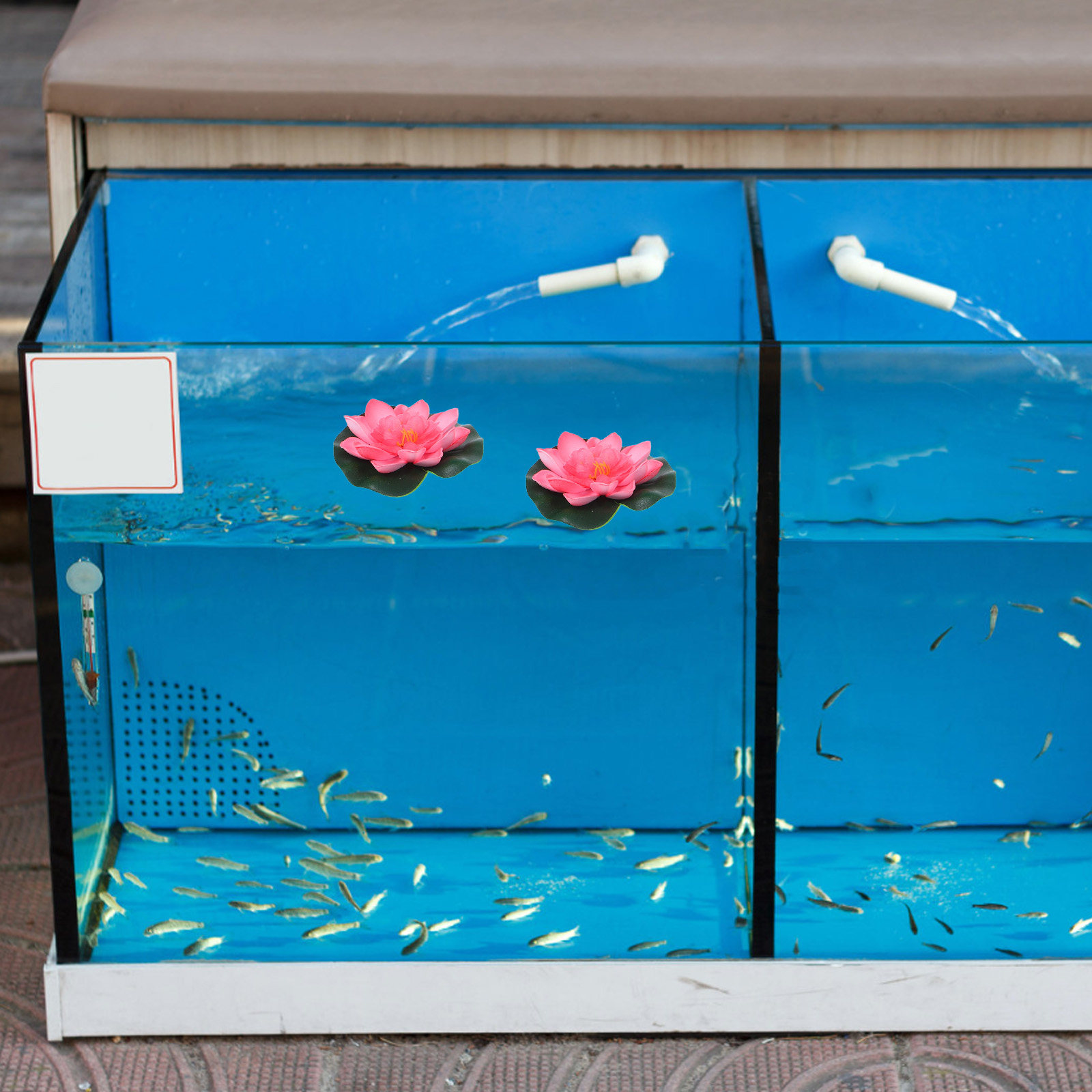 12 stuks kunstmatige drijvende - Aquarium Decor recensie en prijs