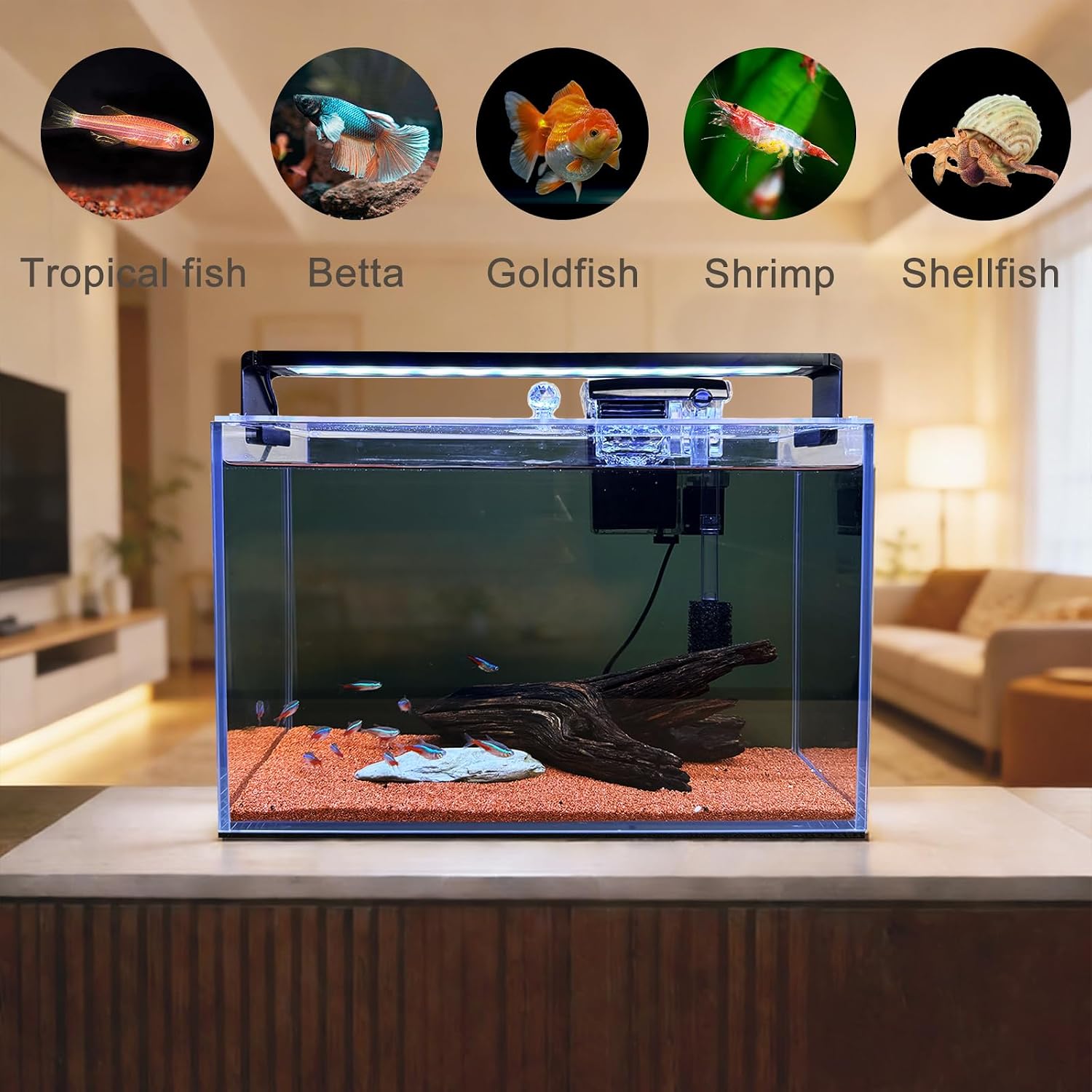 3,2 gallon Nano Nature aquariu - Betta Fish Tank recensie en prijs