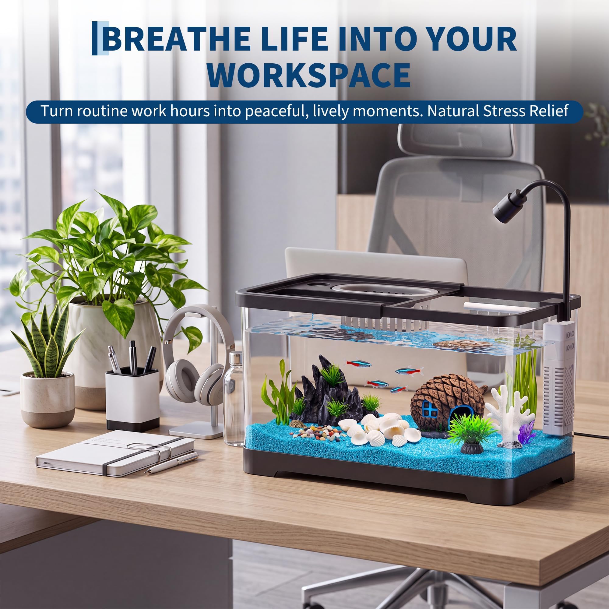 Viskom Starterset met filter e - Aquarium Fish Betta recensie en prijs