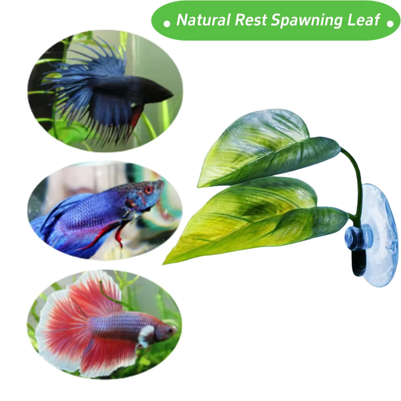 Aquariumbenodigdheden Decorati - Aquarium Fish Betta recensie en prijs