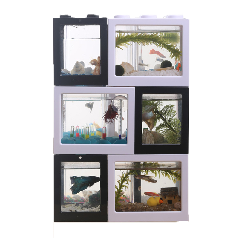 7-kleurige mini-aquarium betta - Aquarium Fish Betta recensie en prijs