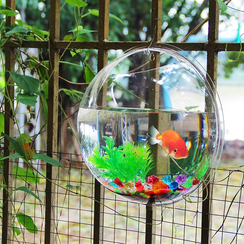 Pinsjar Acryl Visbak Wandhange - Aquarium Fish Betta recensie en prijs