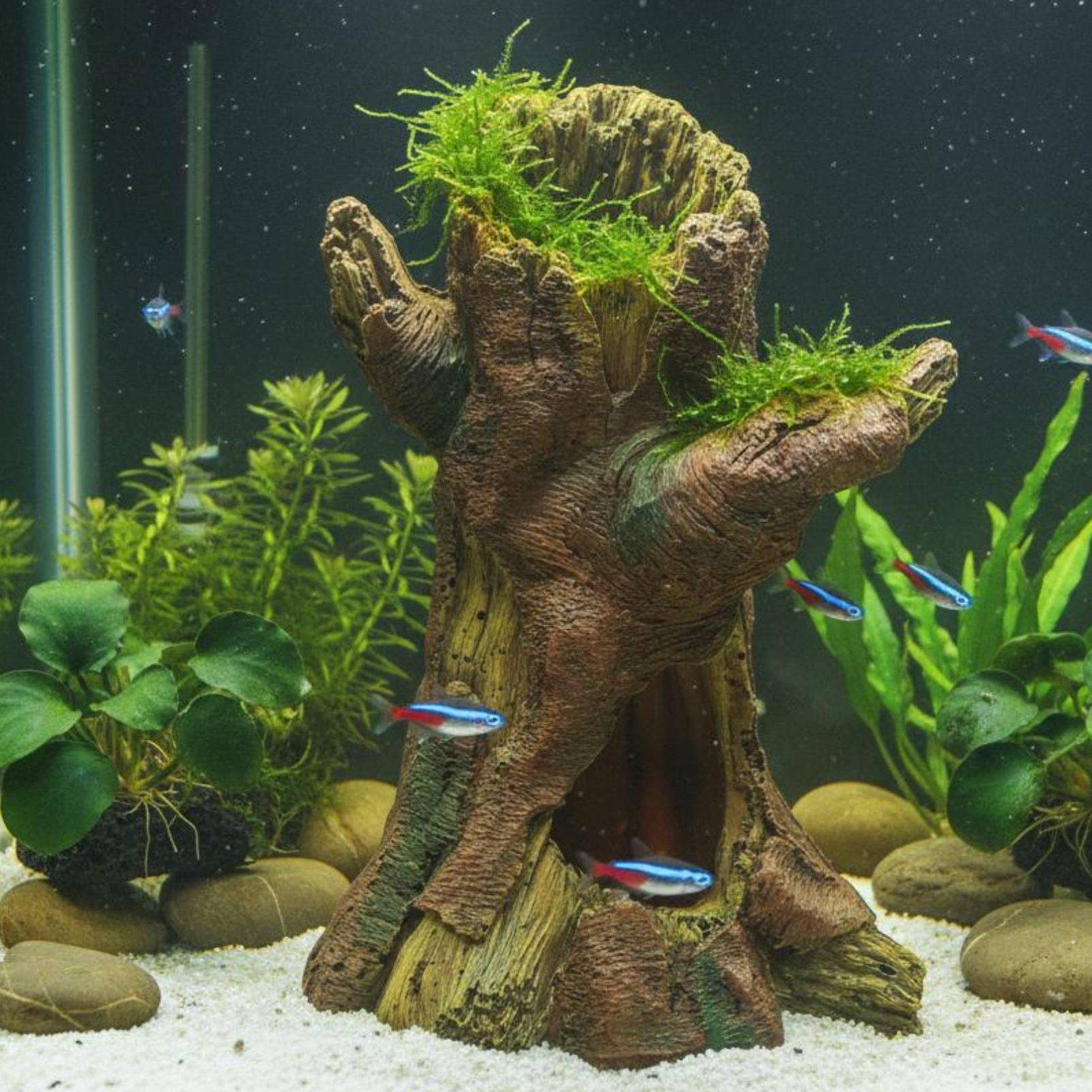 Aquariumdecoratie, decoratieve - Aquarium Decor recensie en prijs