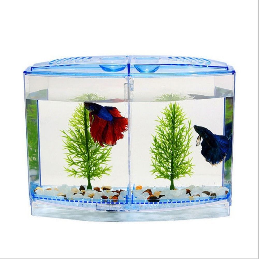Transparant Betta-Aquarium, Du - Aquarium Fish Betta recensie en prijs