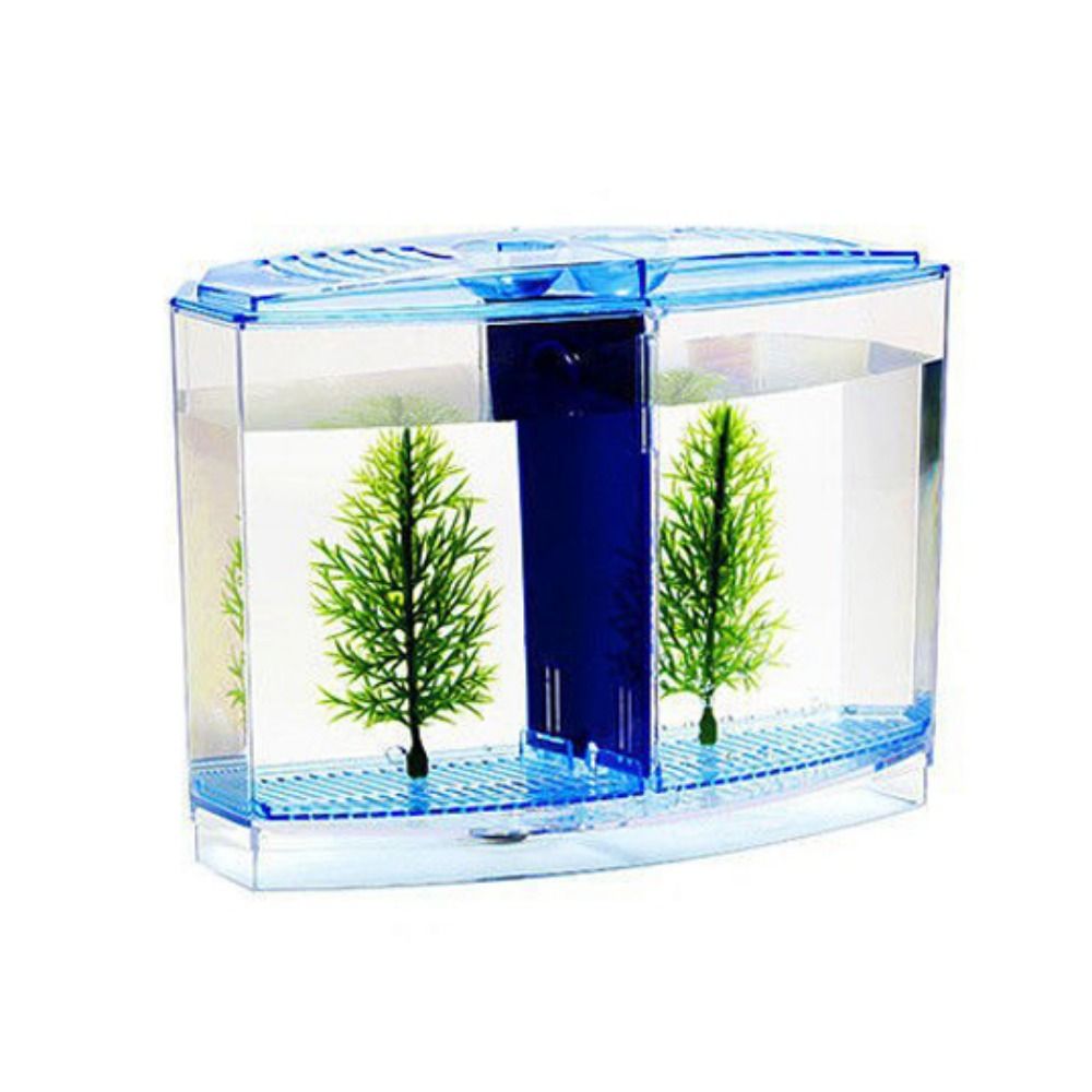 Transparant Betta-Aquarium, Du - Aquarium Fish Betta recensie en prijs