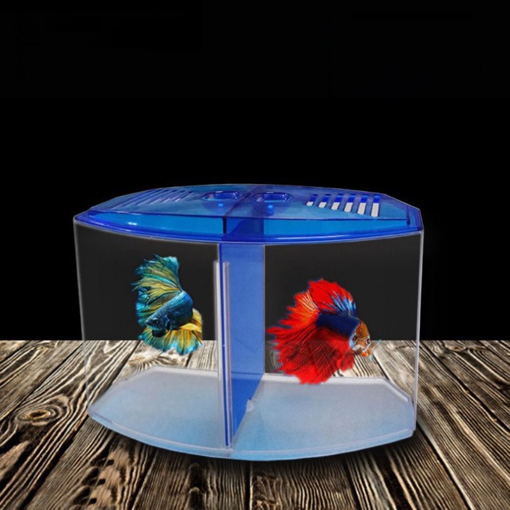 Transparant Betta-Aquarium, Du - Aquarium Fish Betta recensie en prijs