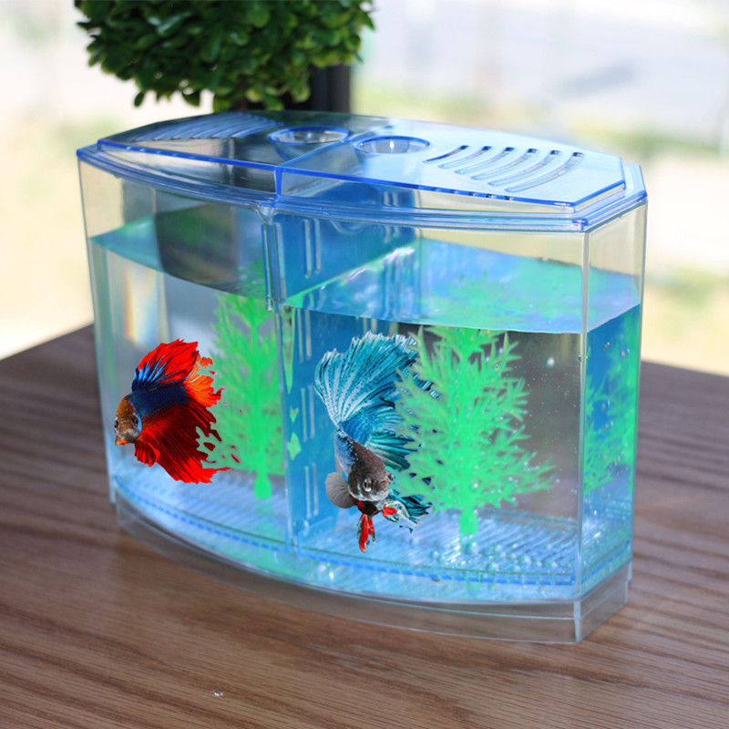 Nieuw en grappig speelgoed Cre - Aquarium Fish Keeping recensie en prijs