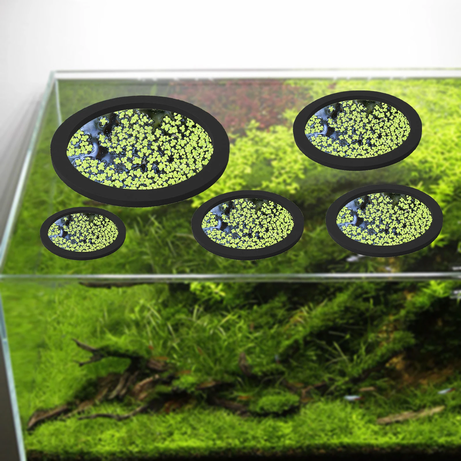 5 stks EVA Vis Voeden Ring Aqu - Aquarium Fish Tank recensie en prijs