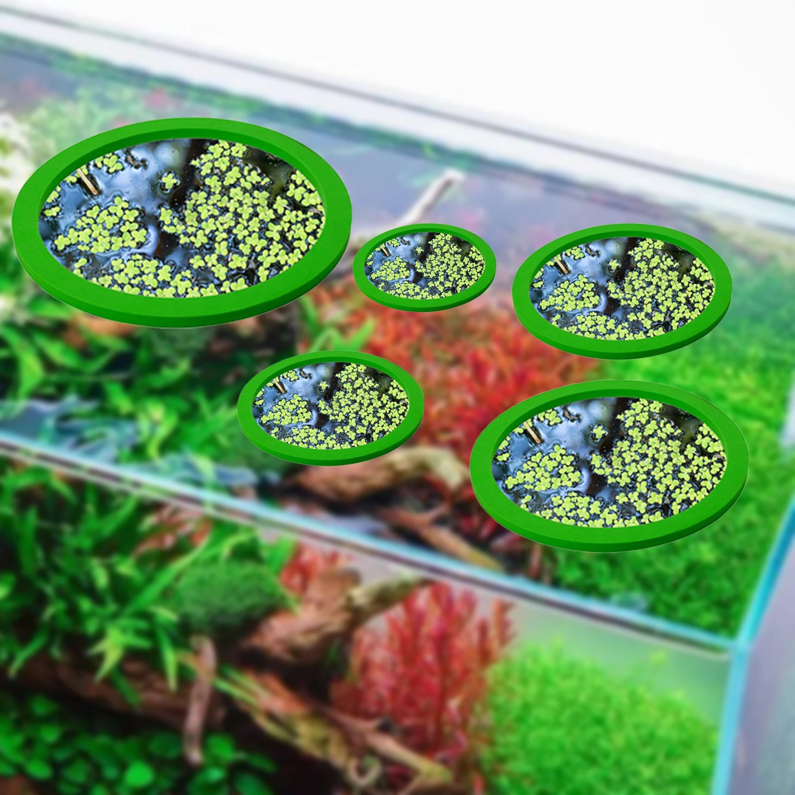5 stks EVA Vis Voeden Ring Aqu - Aquarium Fish Tank recensie en prijs