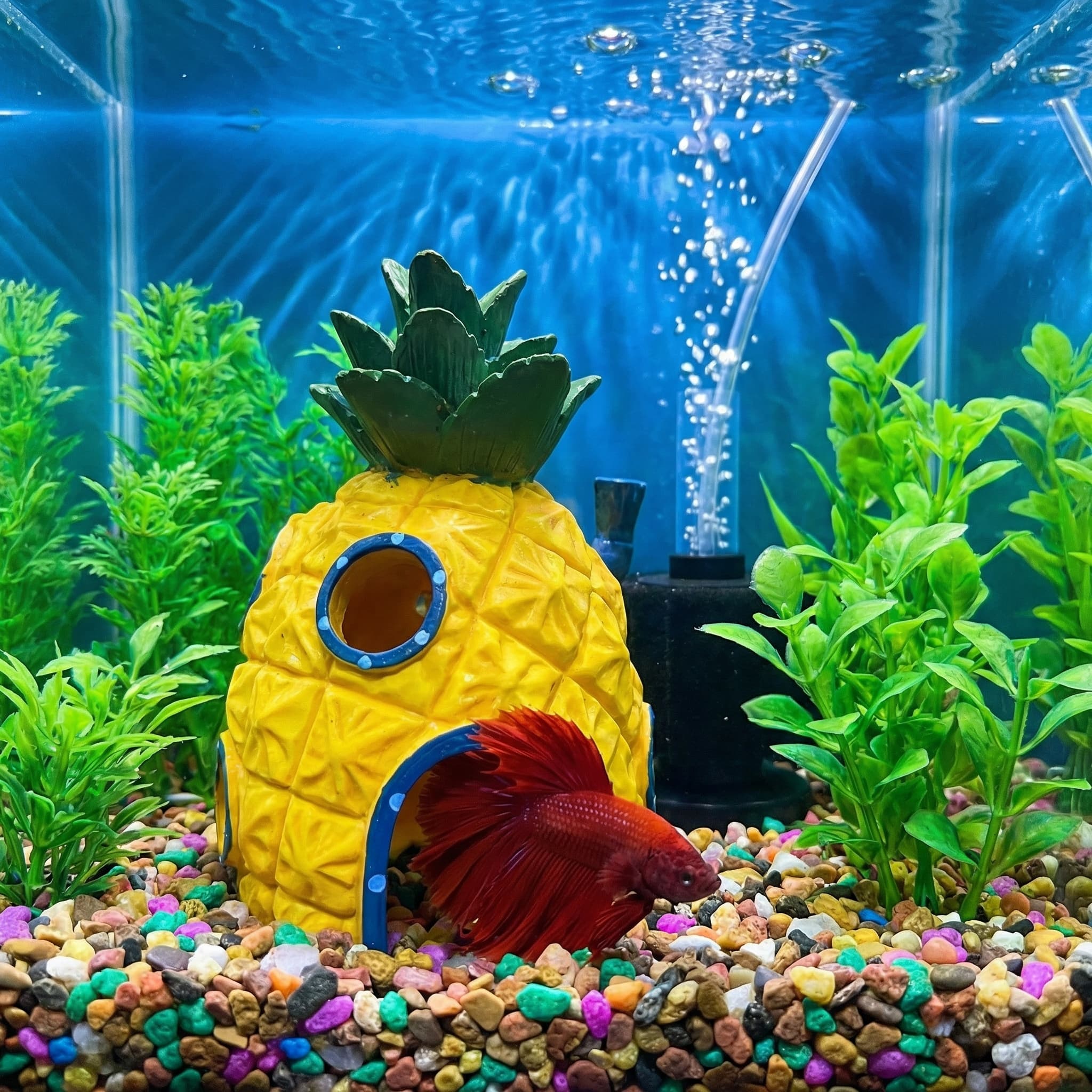 Ananas Huis Aquarium Decor, Mi - Aquarium Fish Betta recensie en prijs