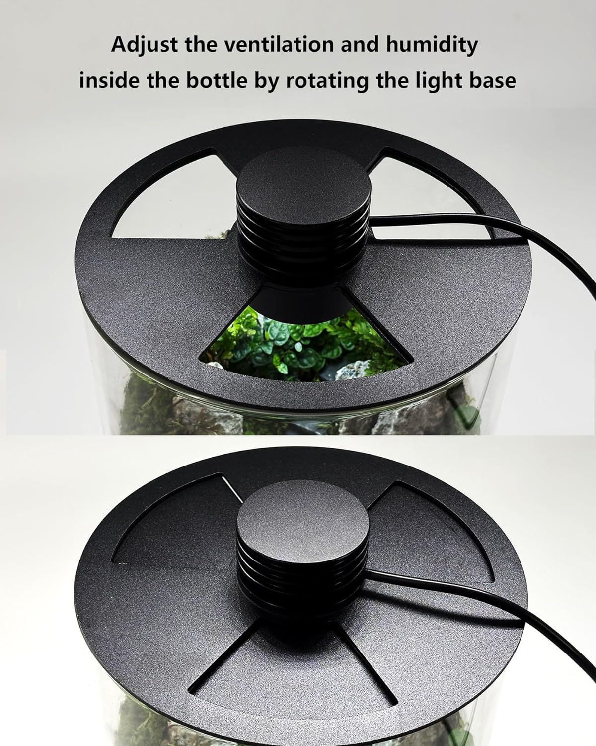 Glazen terrarium voor binnen m - Betta Fish Tank recensie en prijs