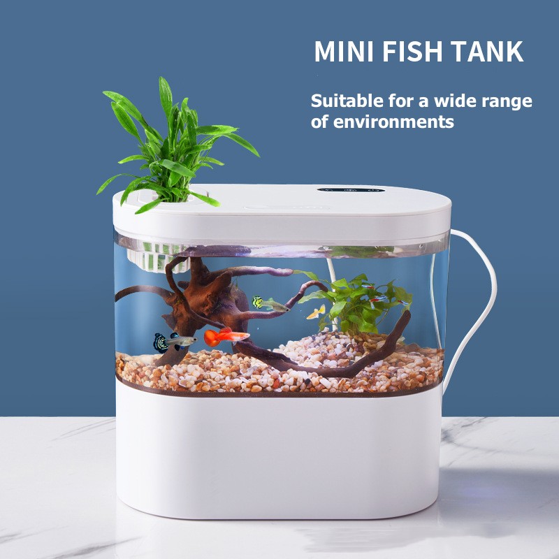 Creatief mini-aquarium voor op - Aquarium Fish Betta recensie en prijs