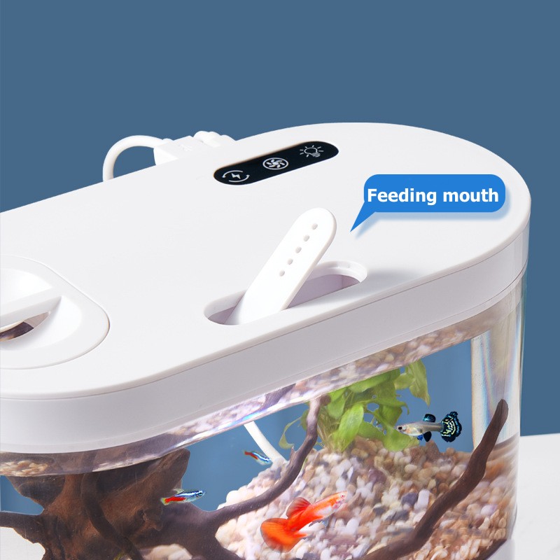 Creatief mini-aquarium voor op - Aquarium Fish Betta recensie en prijs