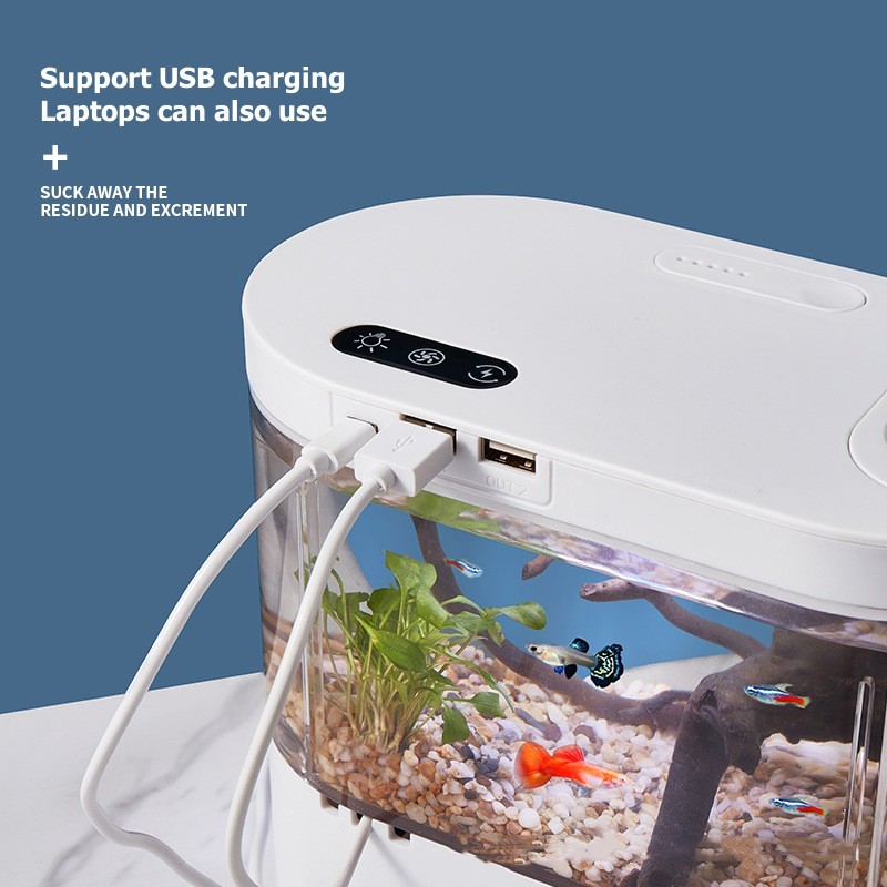 Creatief mini-aquarium voor op - Aquarium Fish Betta recensie en prijs