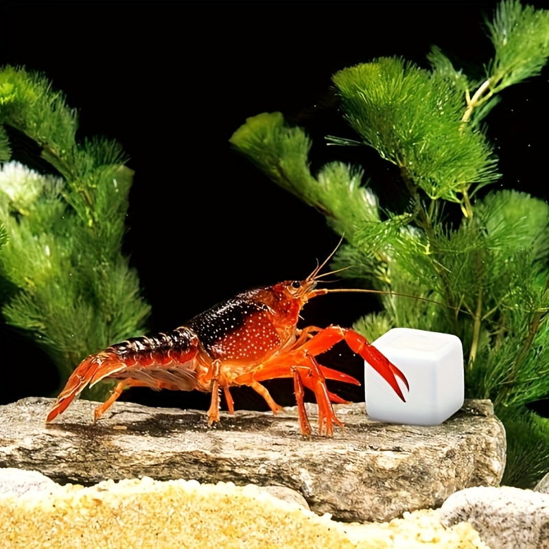 6 stuks Calciumblokken voor aq - Fish Tank Gravel recensie en prijs