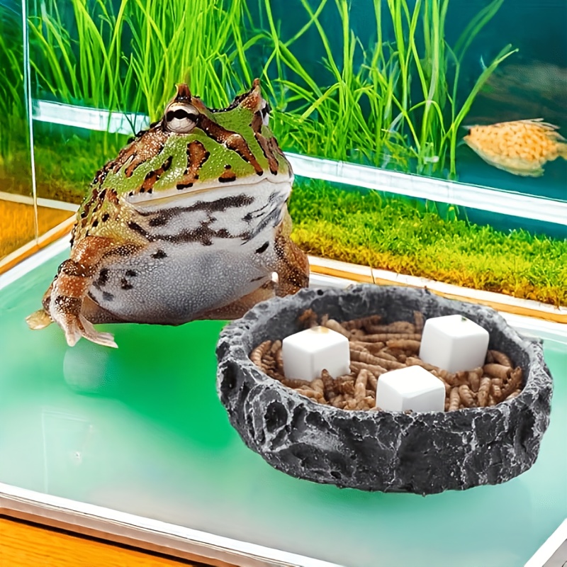 6 stuks Calciumblokken voor aq - Fish Tank Gravel recensie en prijs
